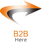 Transparent B2B Sales Logo